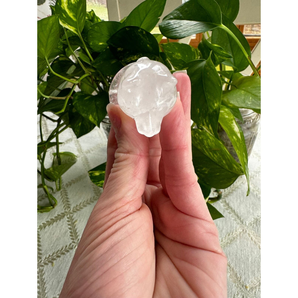 Clear Quartz Crystal Dog