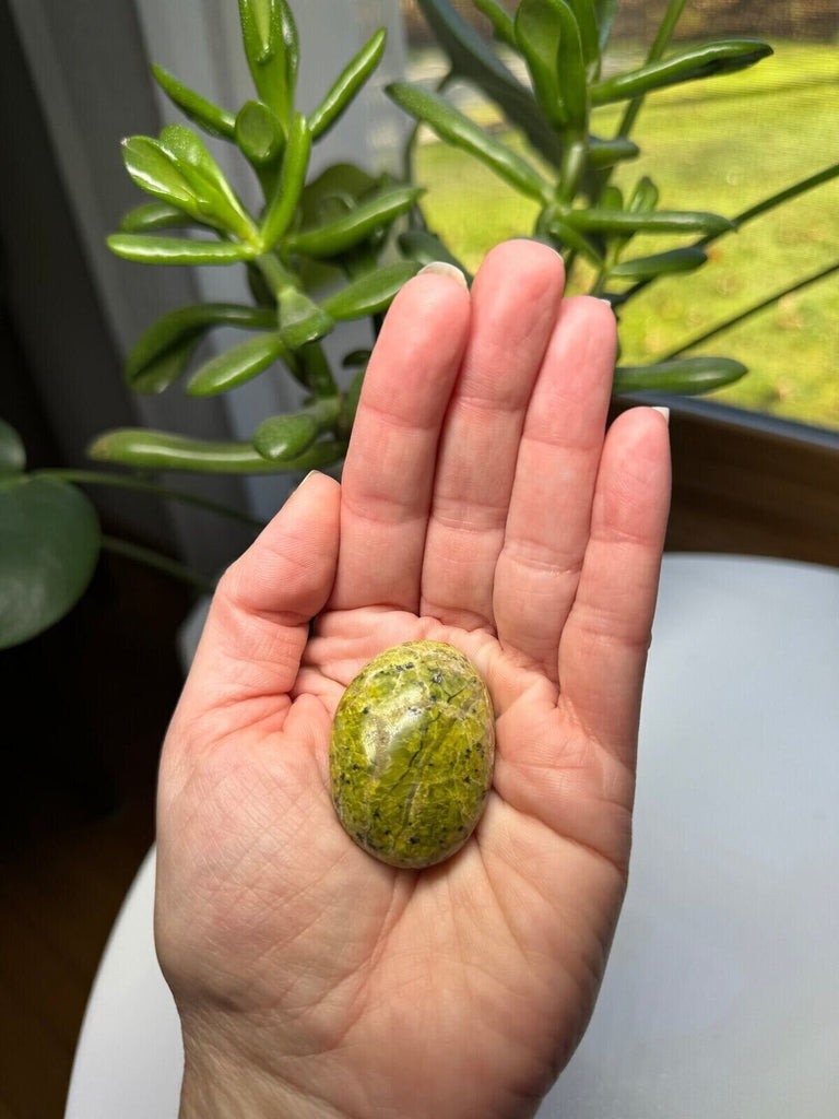 Green Jasper Palm Stone 1.5"