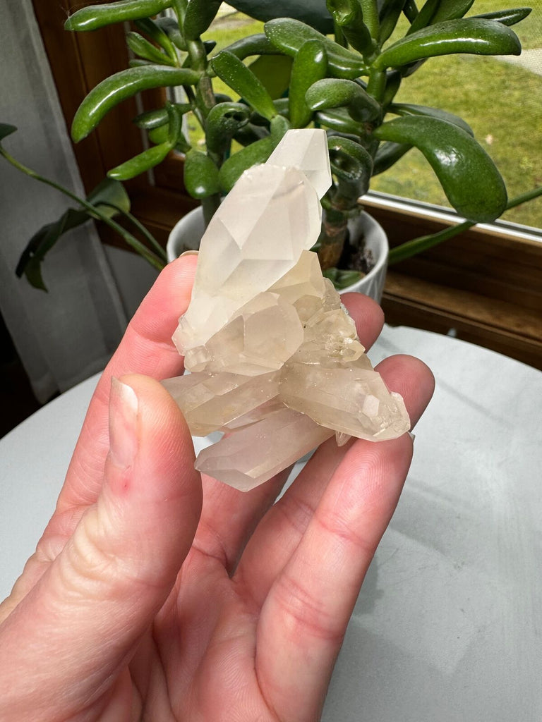 Quartz Crystal Cluster