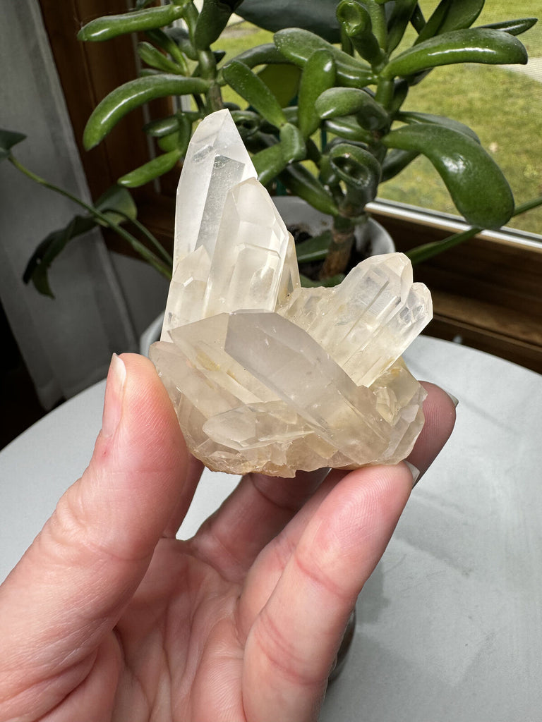 Quartz Crystal Cluster