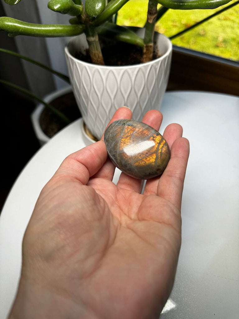 Labradorite Crystal Palm stone 2.5"